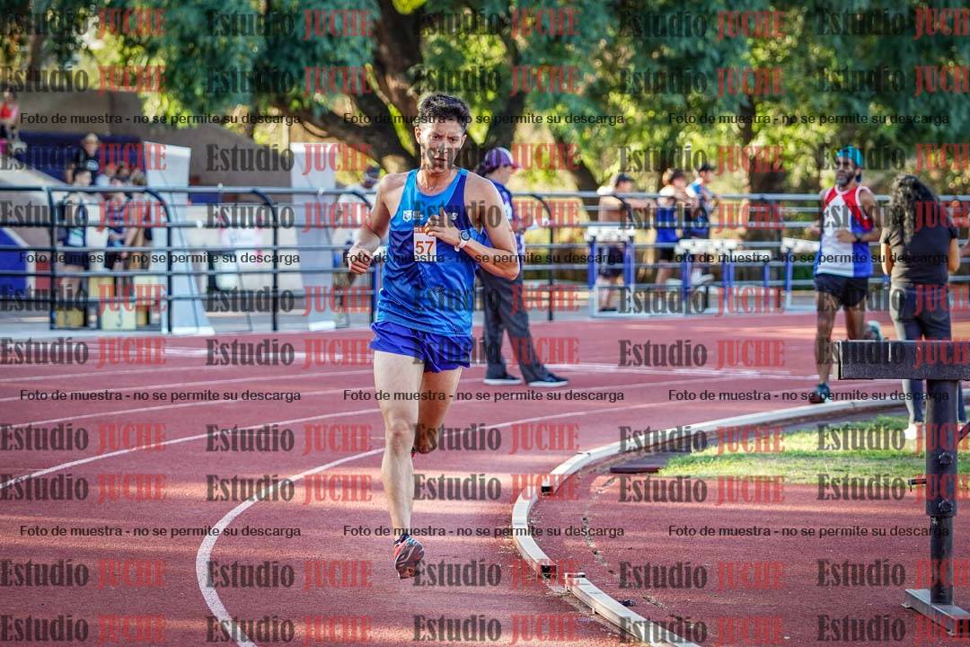 Fotos de los 3000 m llanos de varones