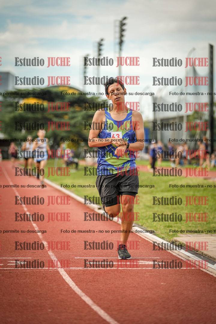 Fotos de los 800 m llanos de varones