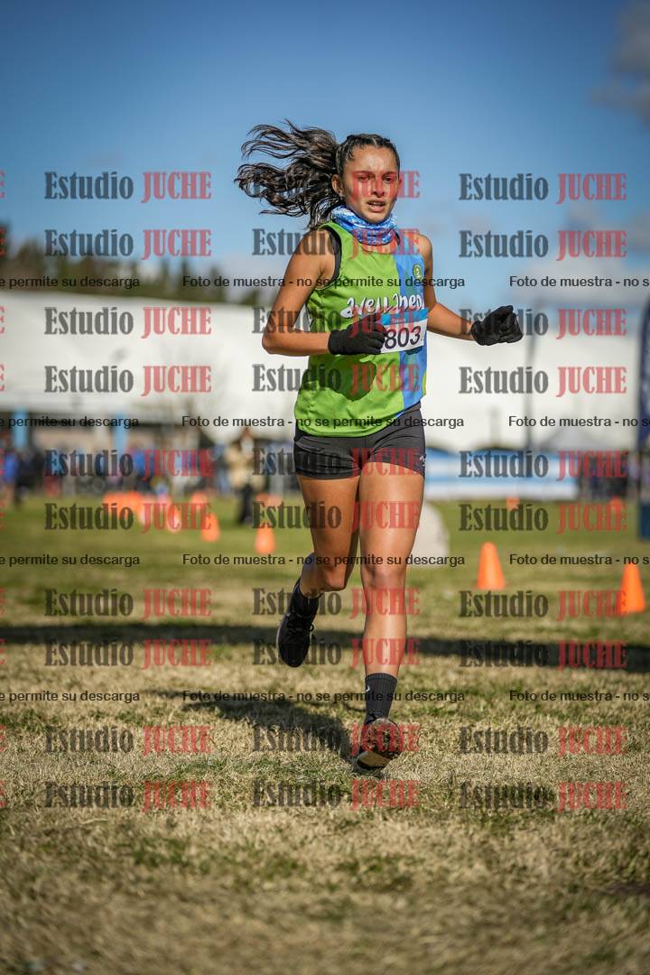 Fotos de las llegadas