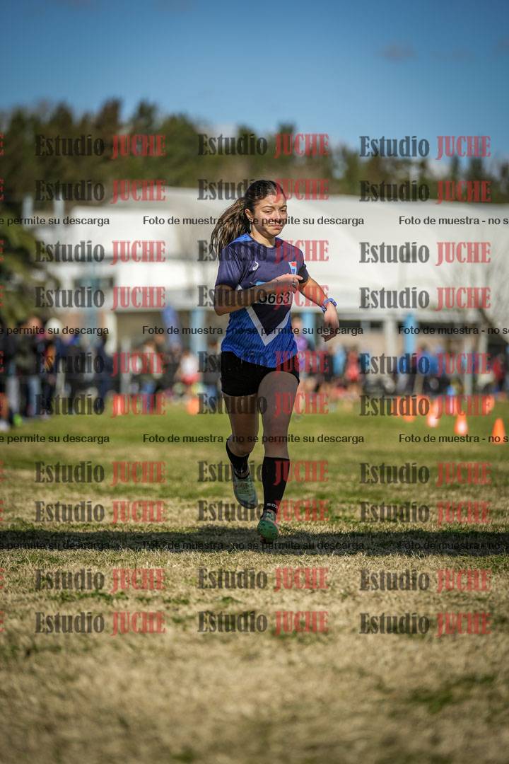 Fotos de las llegadas