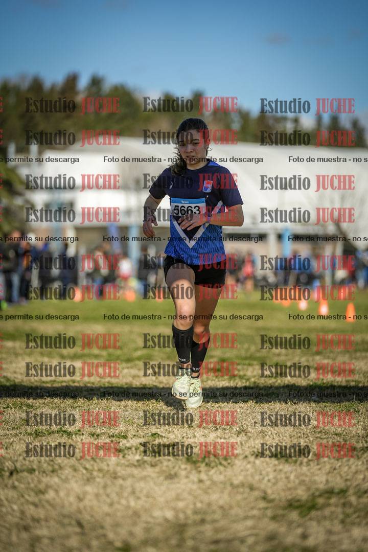 Fotos de las llegadas
