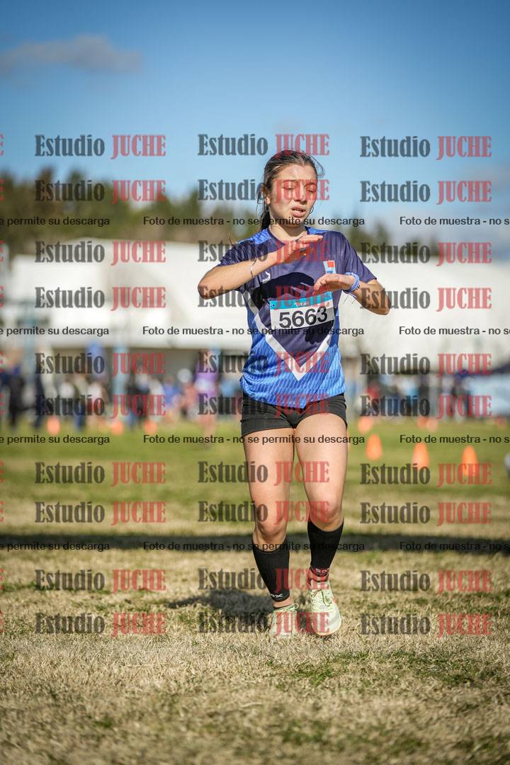 Fotos de las llegadas