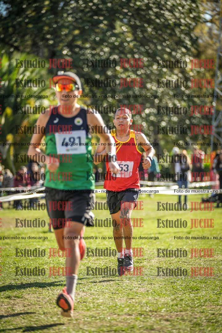 Fotos de la llegada del cross de 8000 m