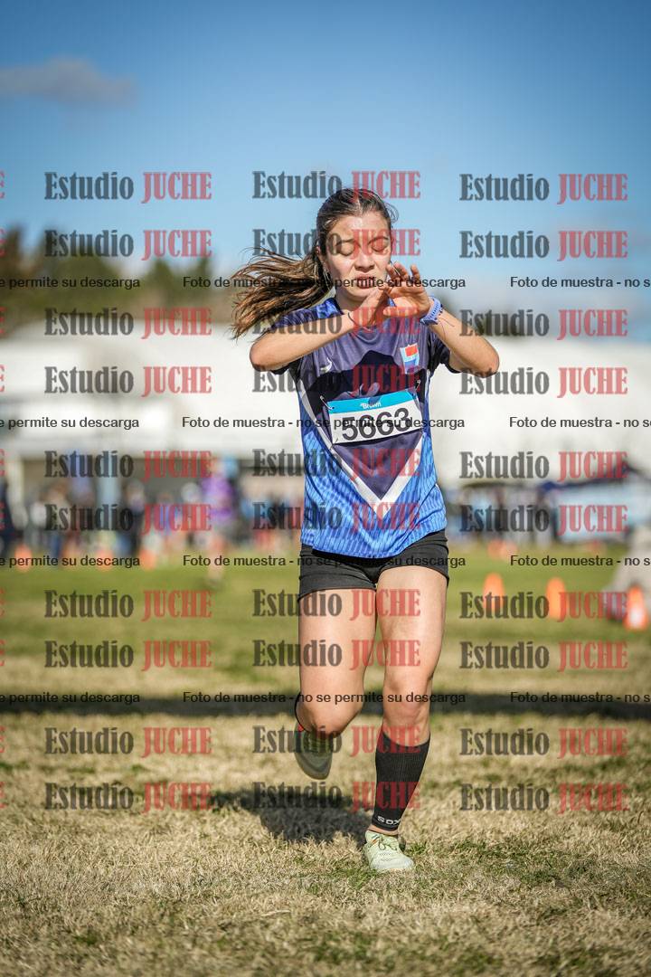 Fotos de las llegadas