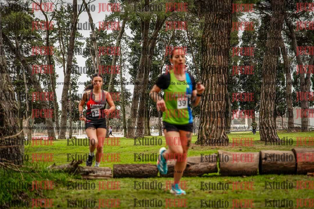 Fotos en el circuito