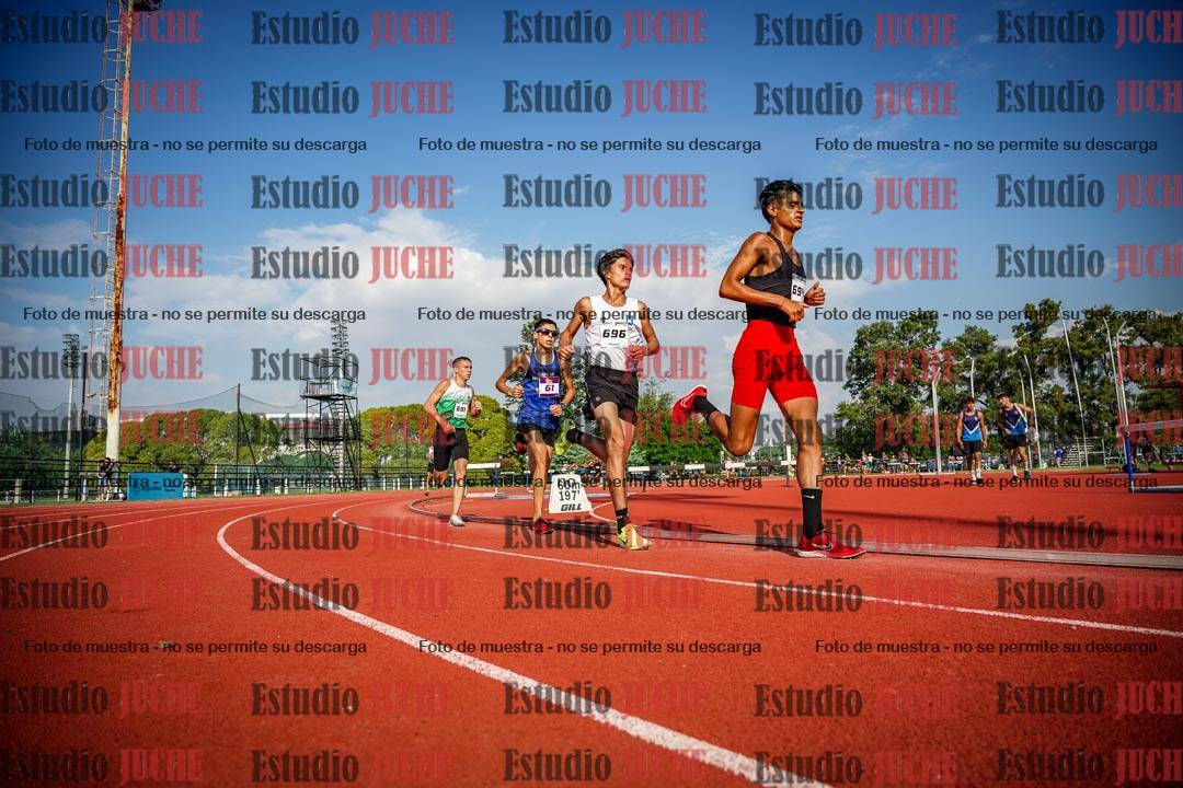 Fotos de los 3000 m llanos de varones