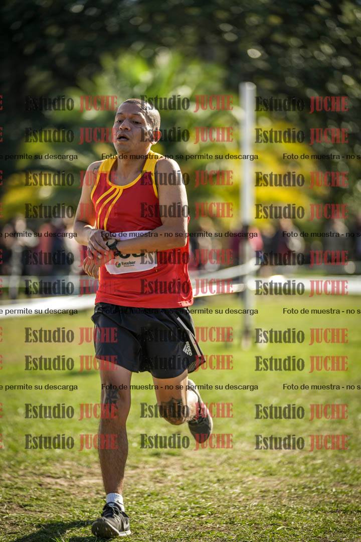 Fotos de la llegada del cross de 8000 m
