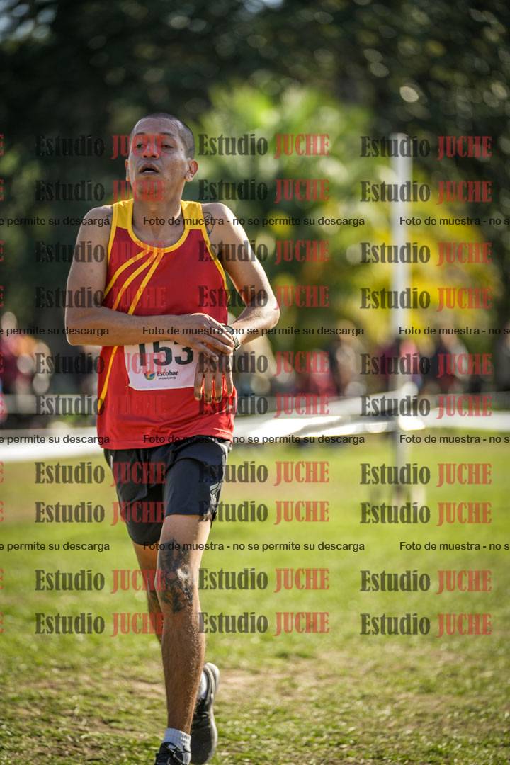Fotos de la llegada del cross de 8000 m