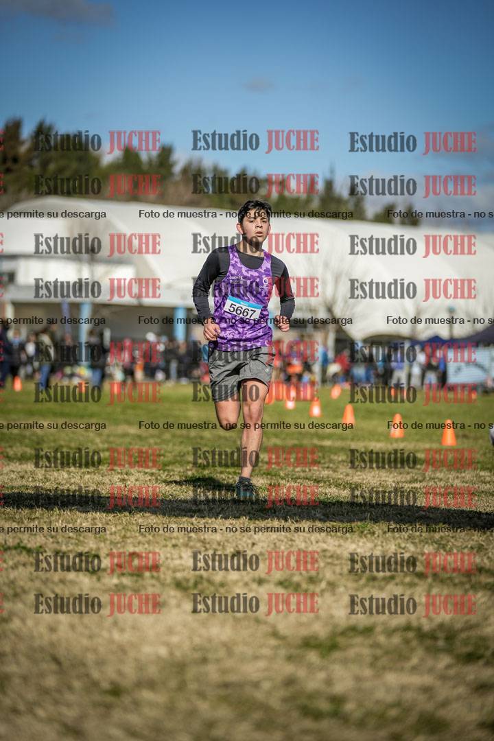 Fotos de las llegadas