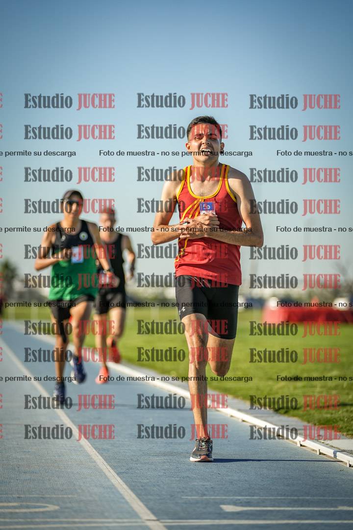 Fotos de los 3000 m llanos de varones