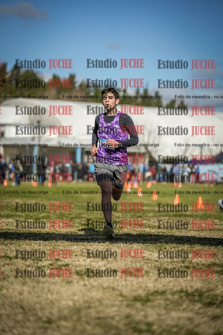 Fotos de las llegadas