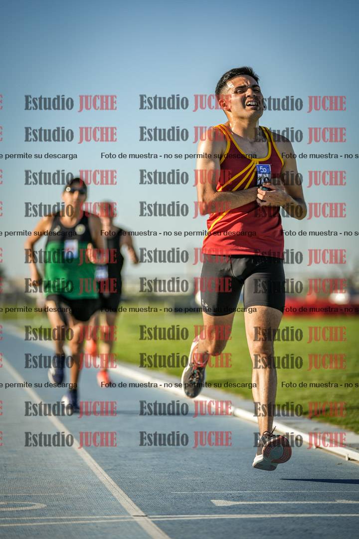 Fotos de los 3000 m llanos de varones