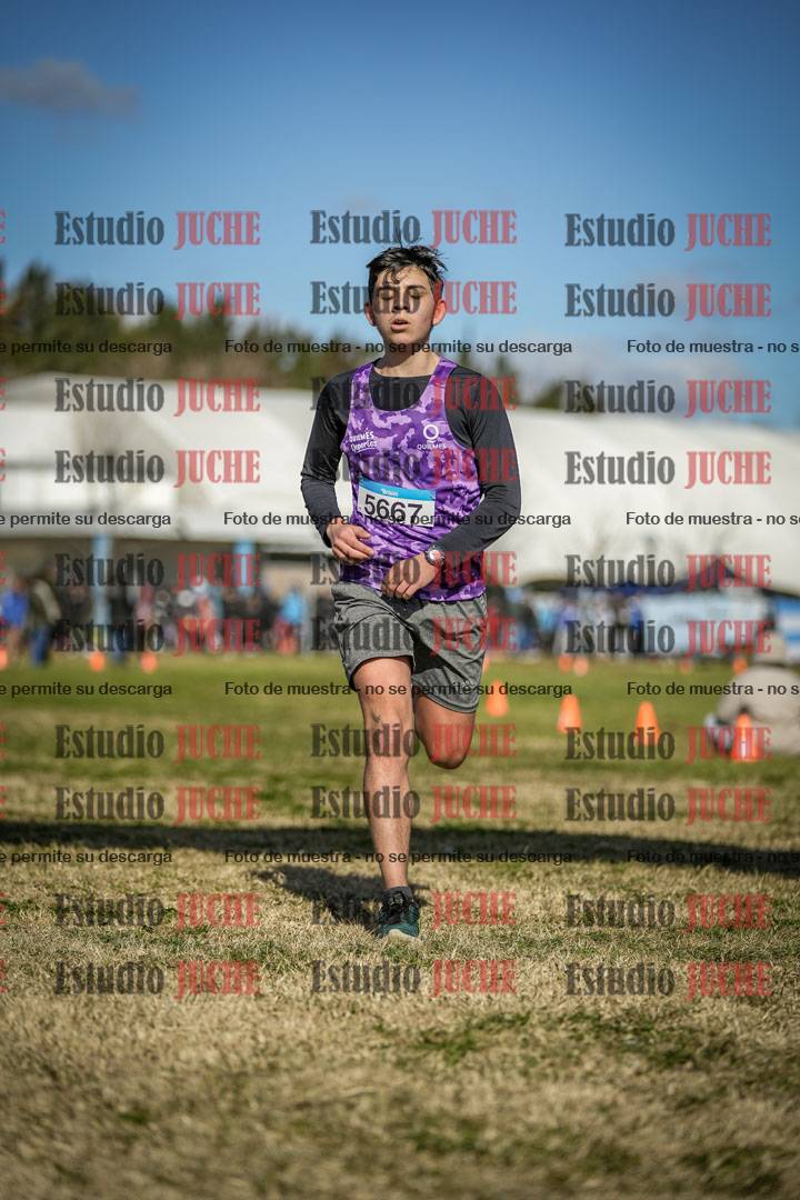 Fotos de las llegadas