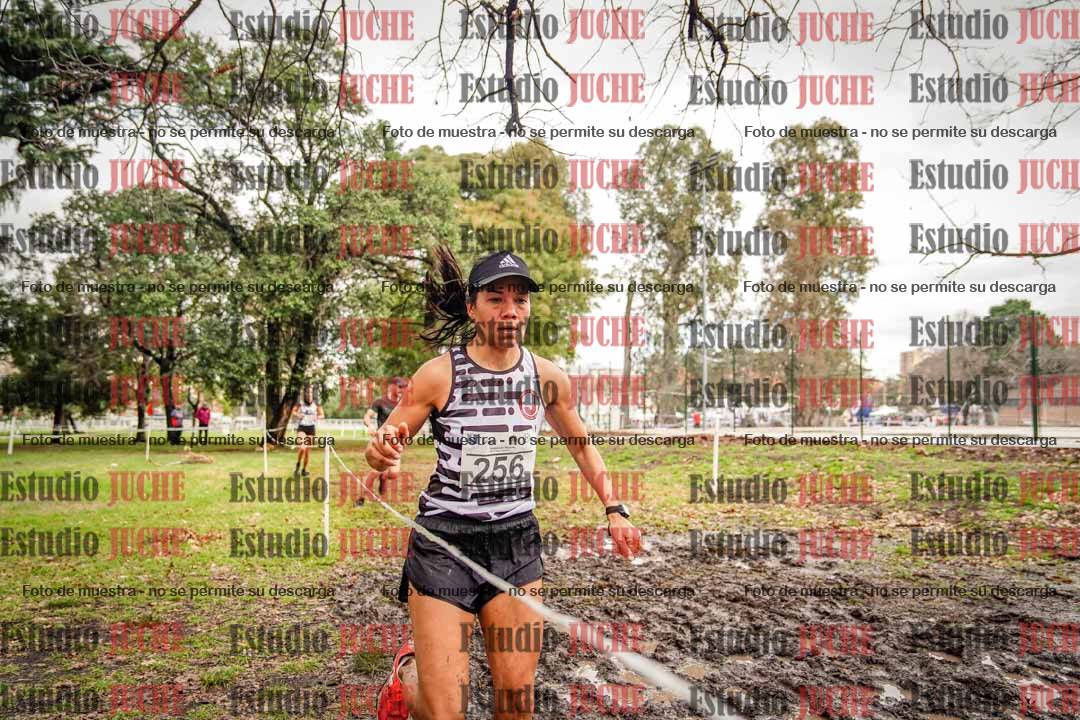 Fotos en el circuito