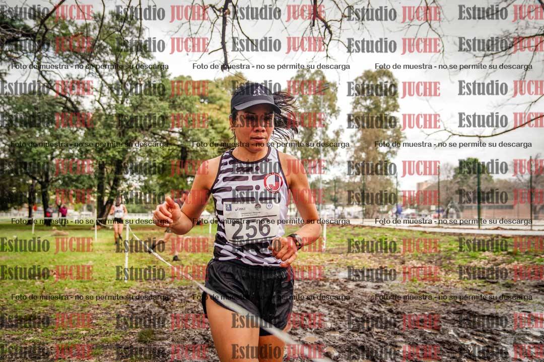 Fotos en el circuito