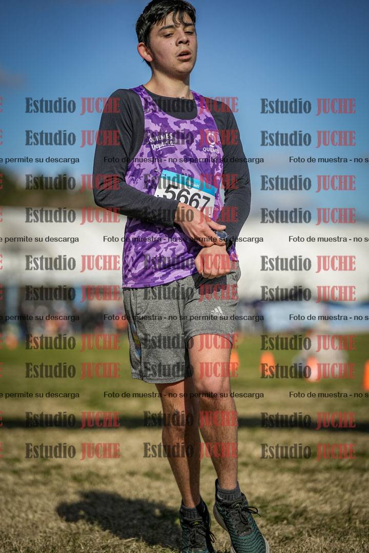 Fotos de las llegadas