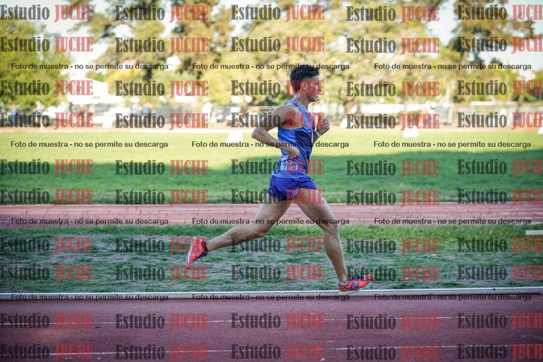 Fotos de los 3000 m llanos de varones