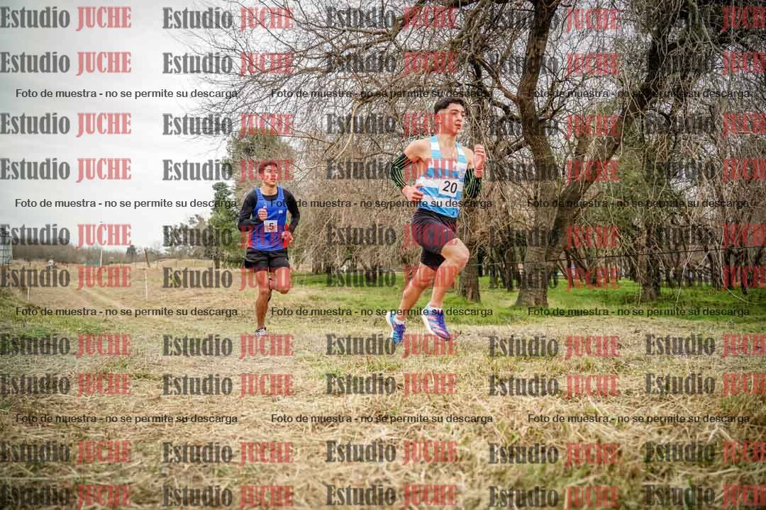 Fotos en el circuito