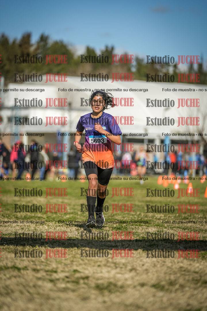 Fotos de las llegadas