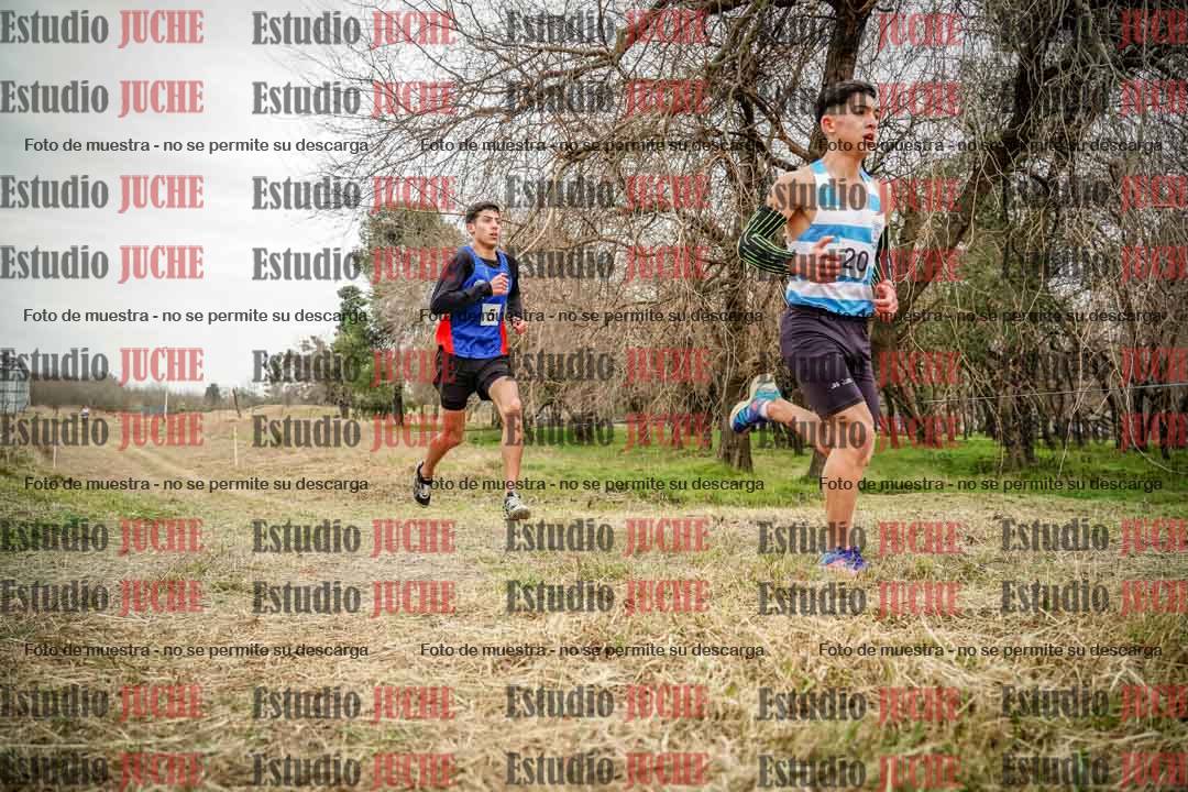 Fotos en el circuito