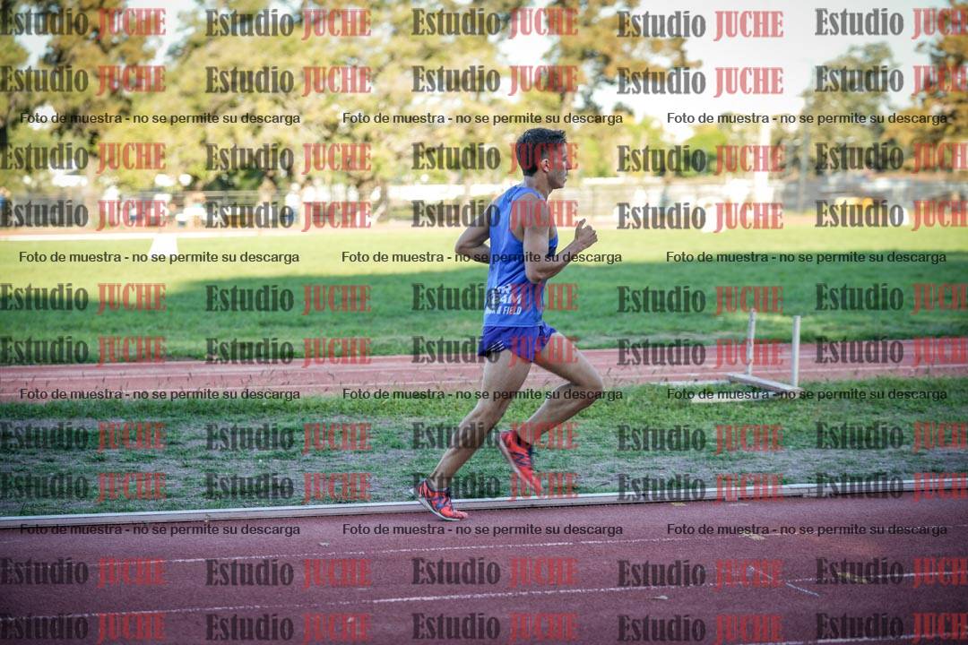 Fotos de los 3000 m llanos de varones