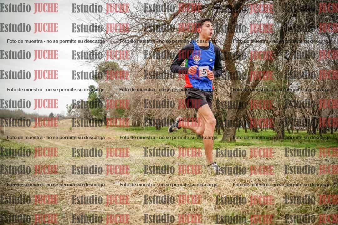 Fotos en el circuito