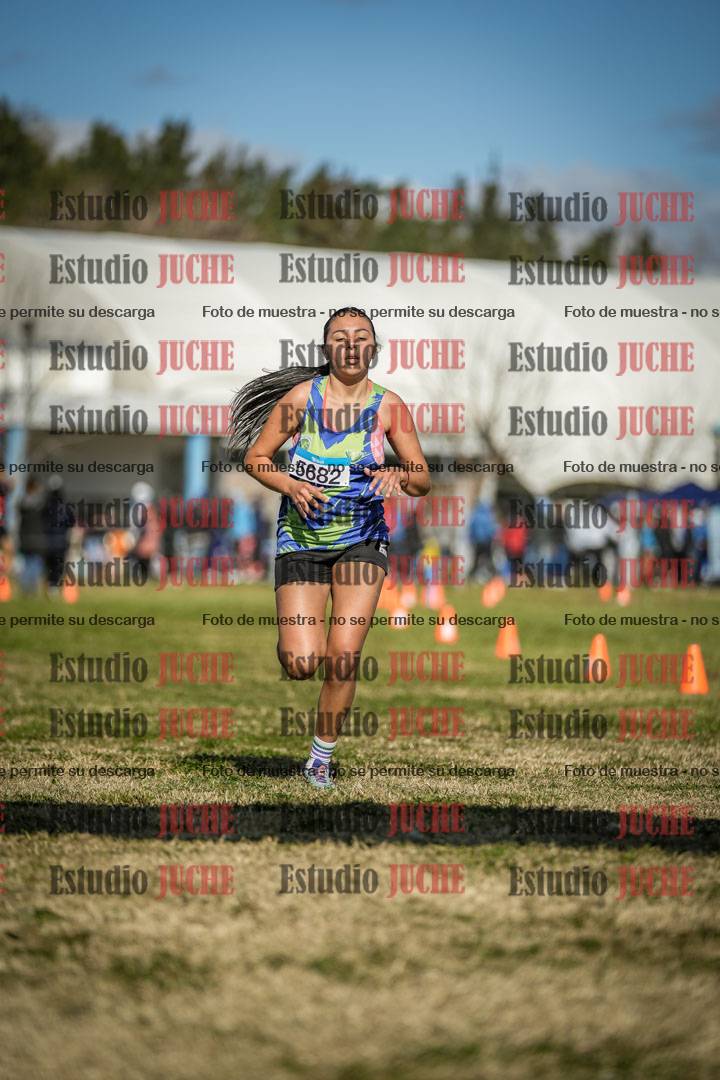 Fotos de las llegadas