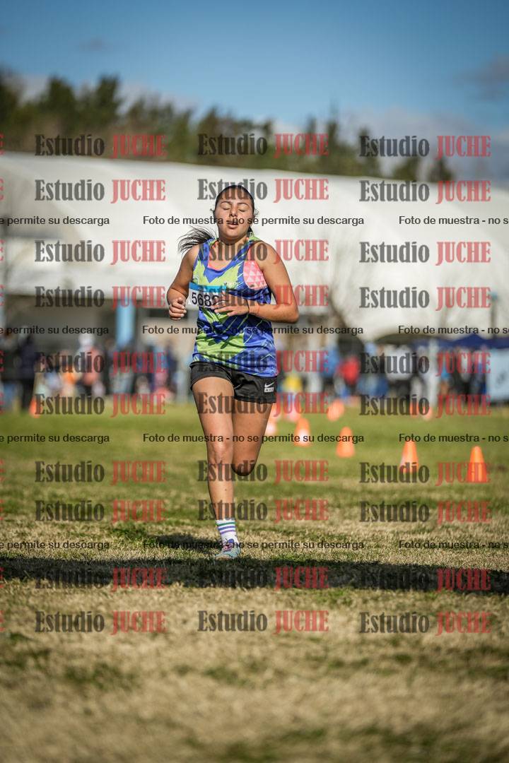 Fotos de las llegadas
