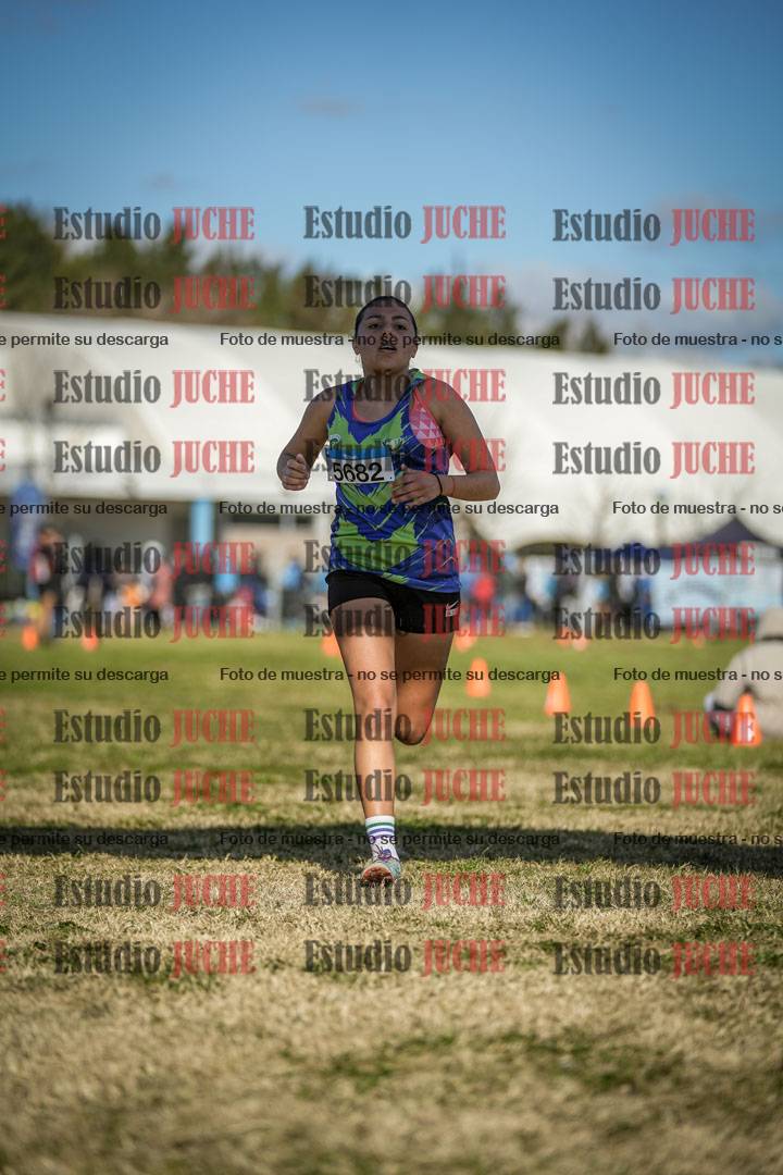 Fotos de las llegadas
