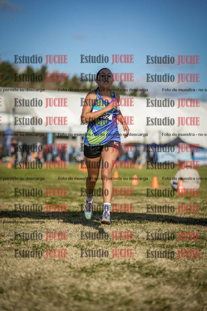 Fotos de las llegadas