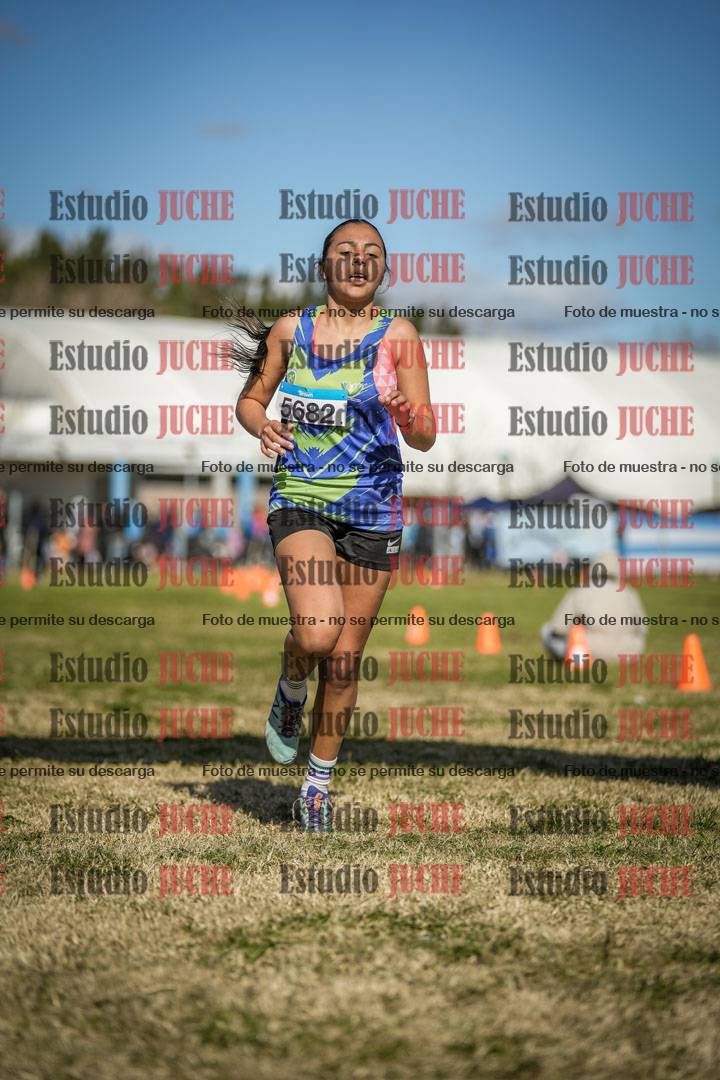 Fotos de las llegadas