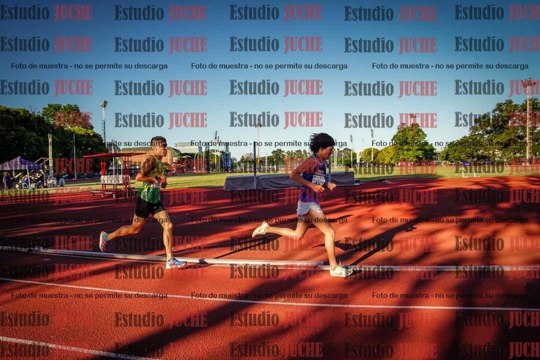 Fotos de los 3000 m llanos de varones