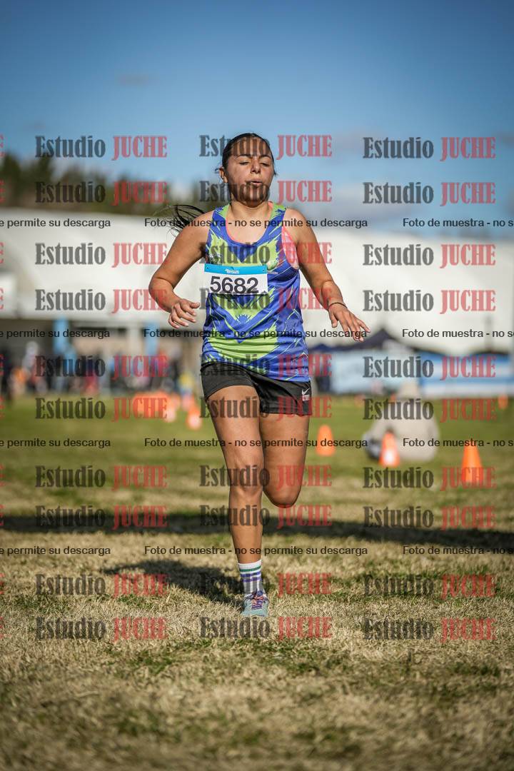 Fotos de las llegadas