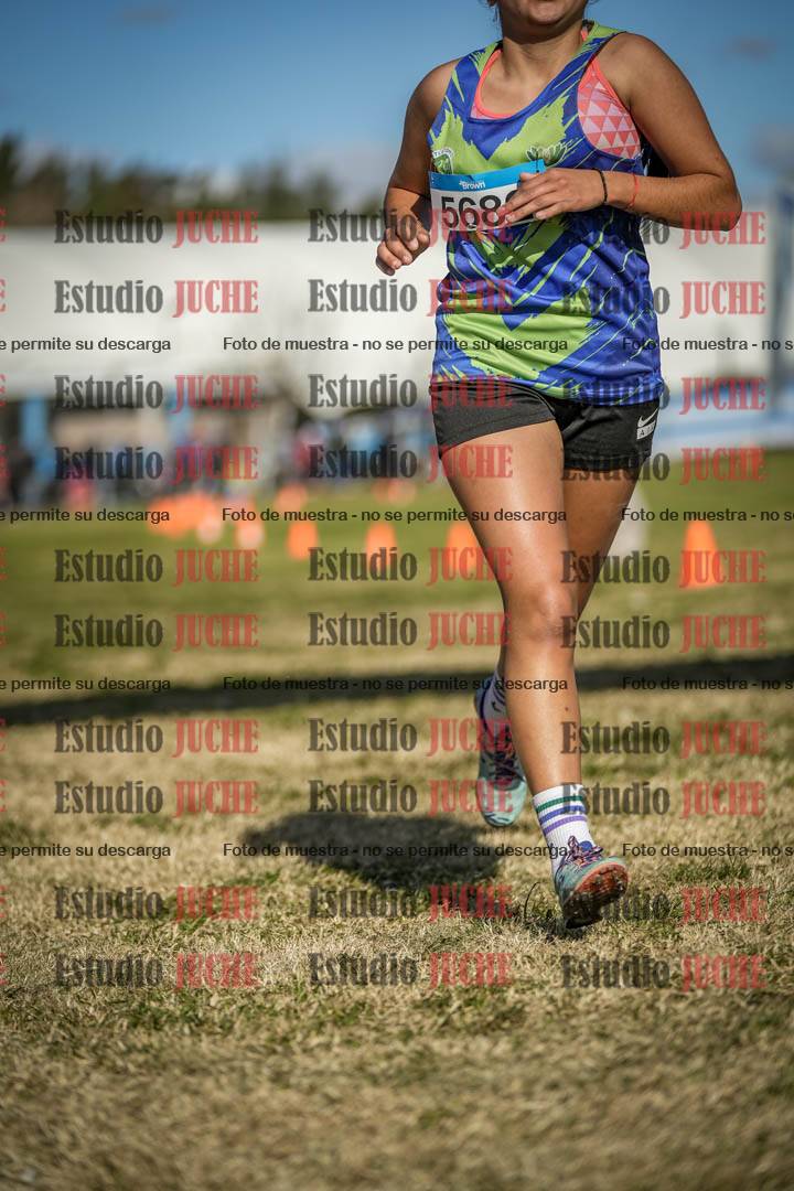 Fotos de las llegadas