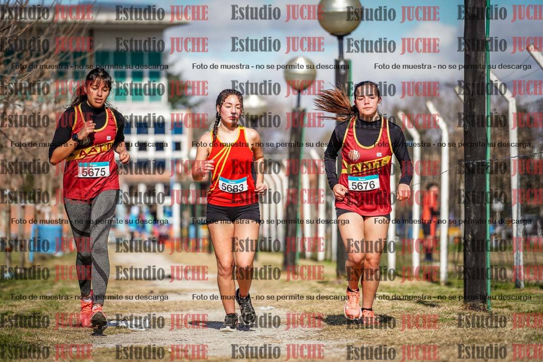 Fotos en el circuito