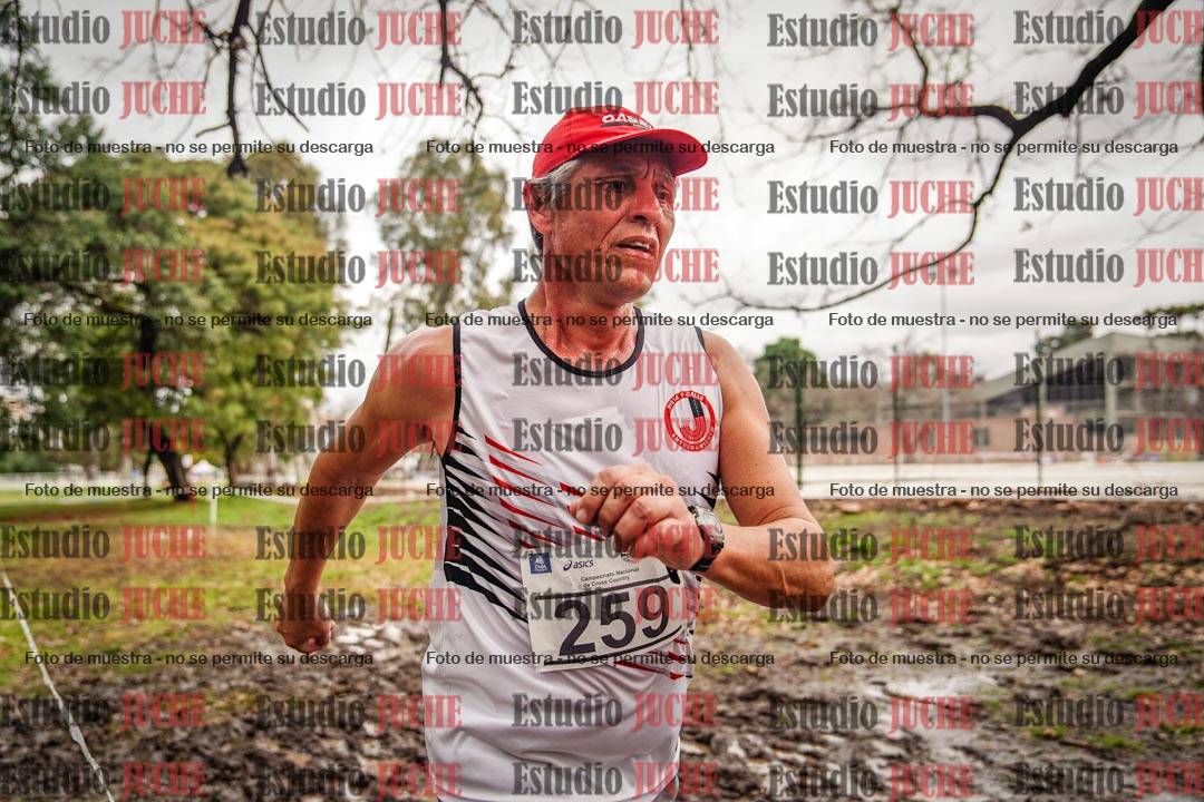 Fotos en el circuito