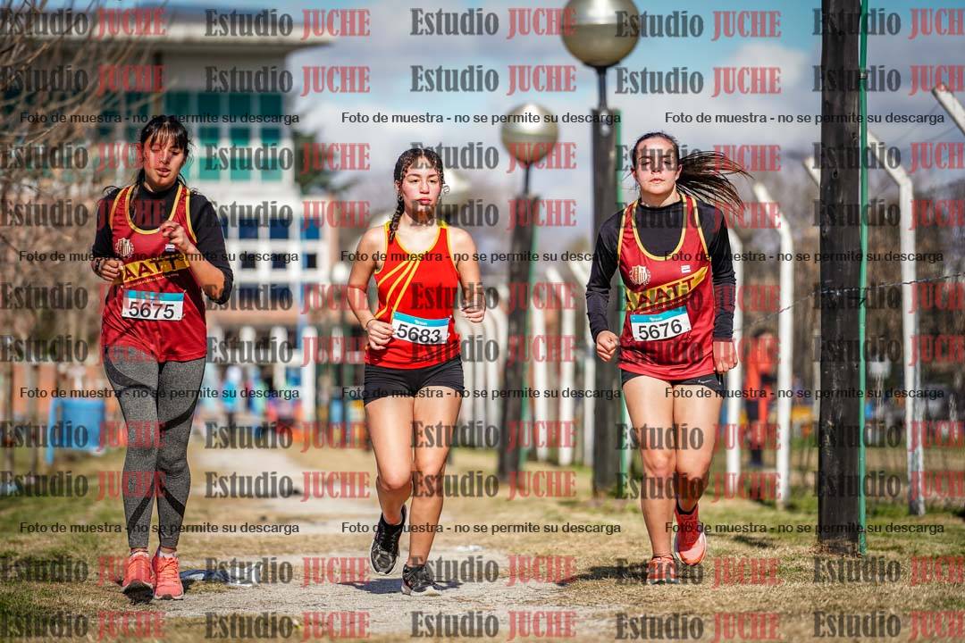 Fotos en el circuito