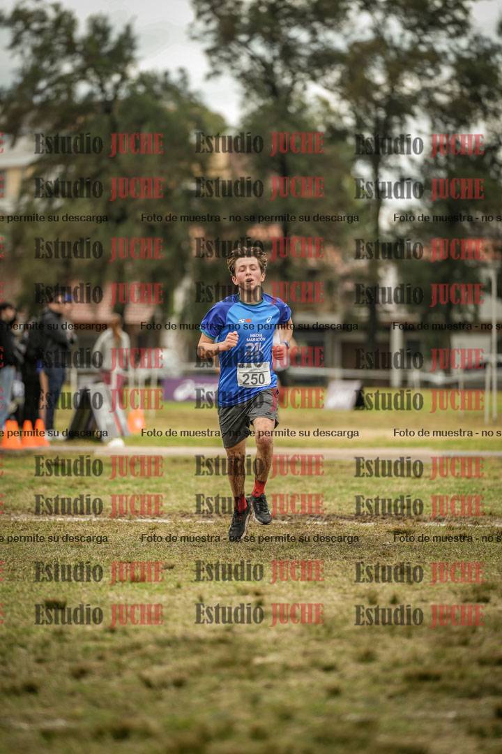 Fotos de la llegada