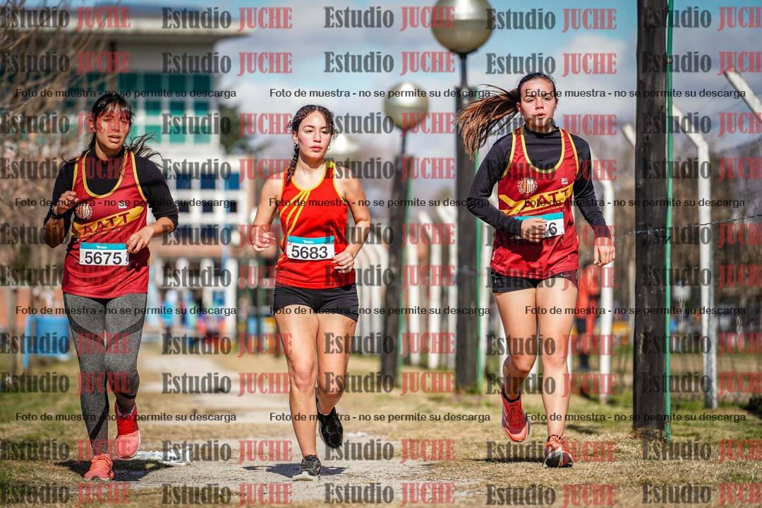 Fotos en el circuito