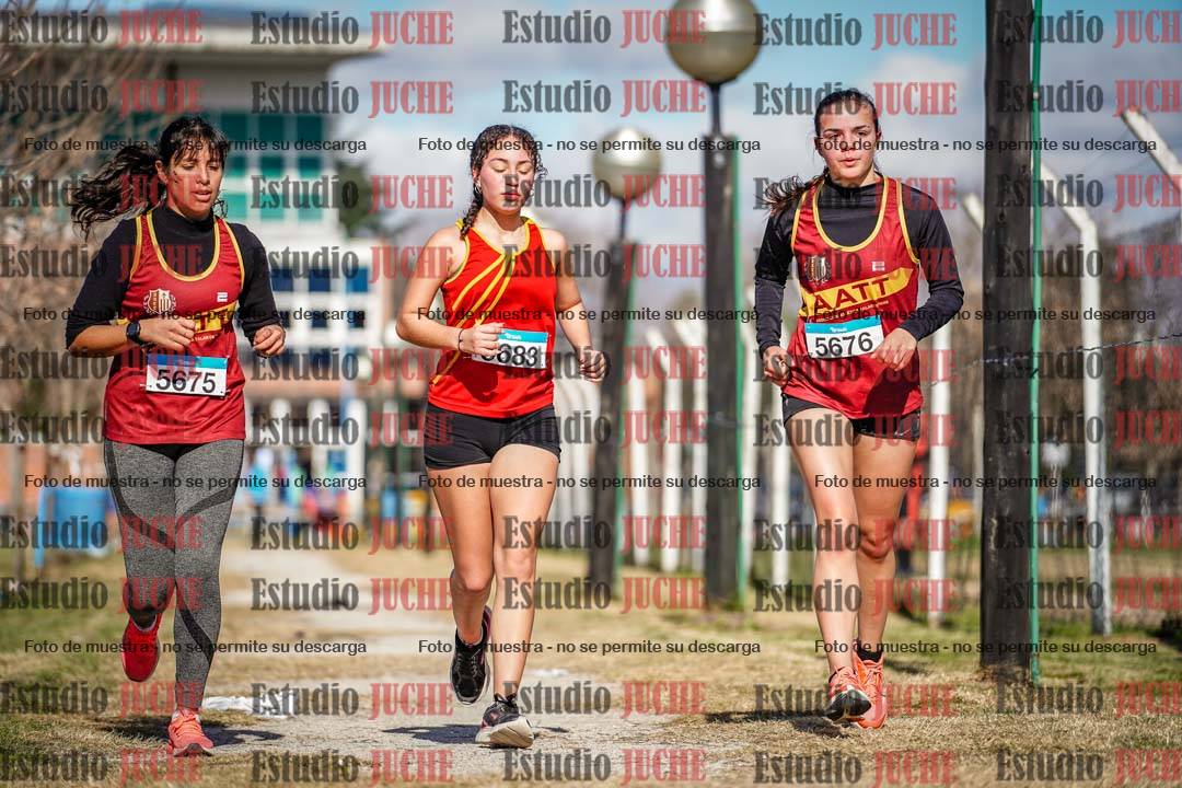 Fotos en el circuito