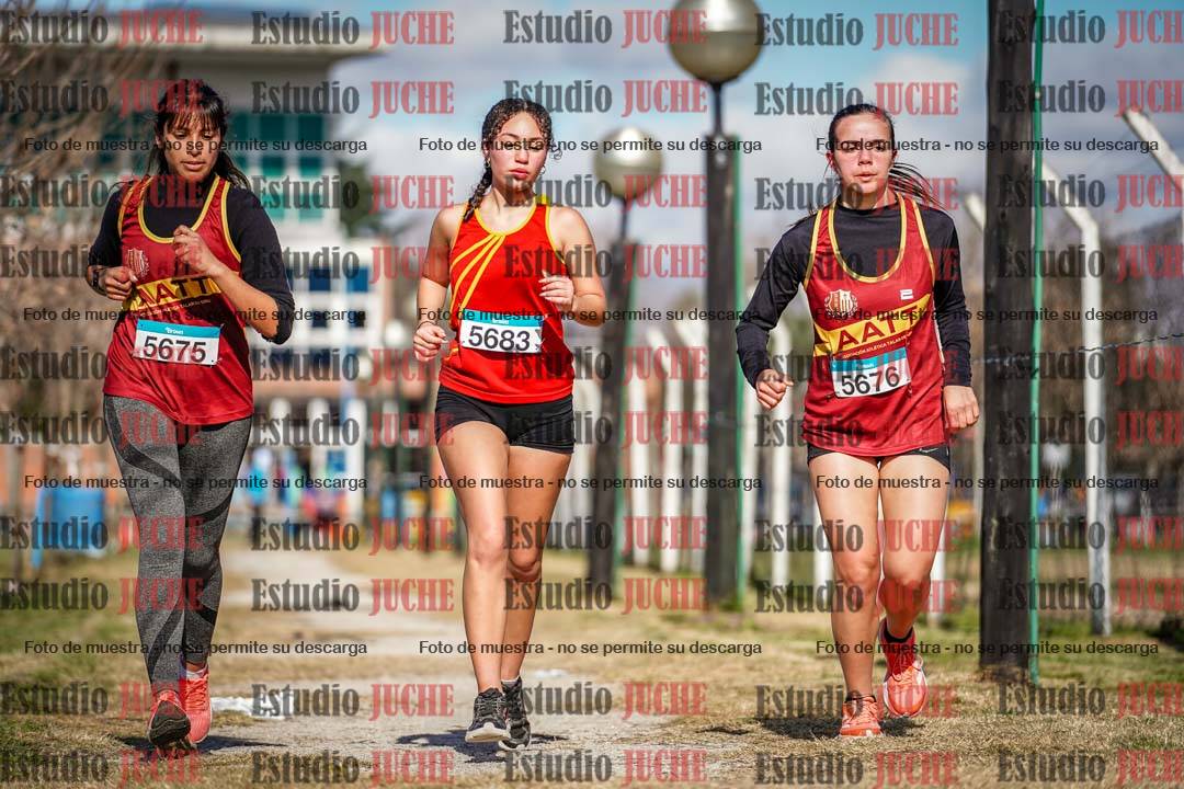 Fotos en el circuito