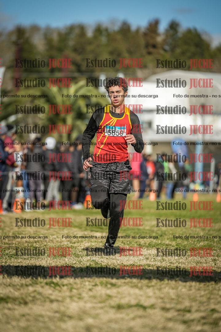 Fotos de las llegadas