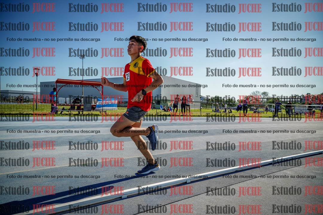 Fotos de los 1500 m llanos de varones