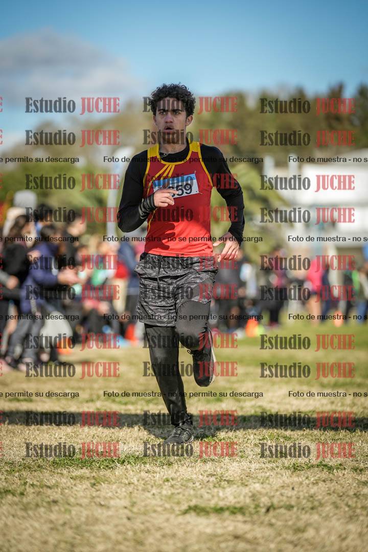 Fotos de las llegadas