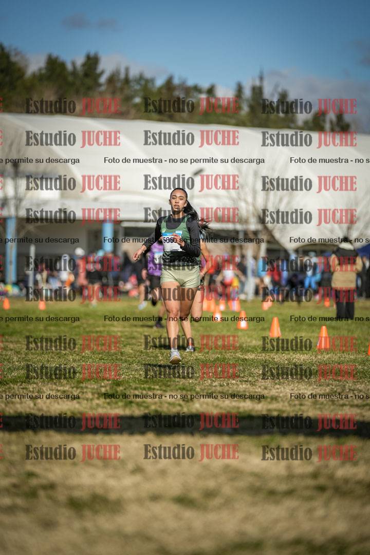 Fotos de las llegadas