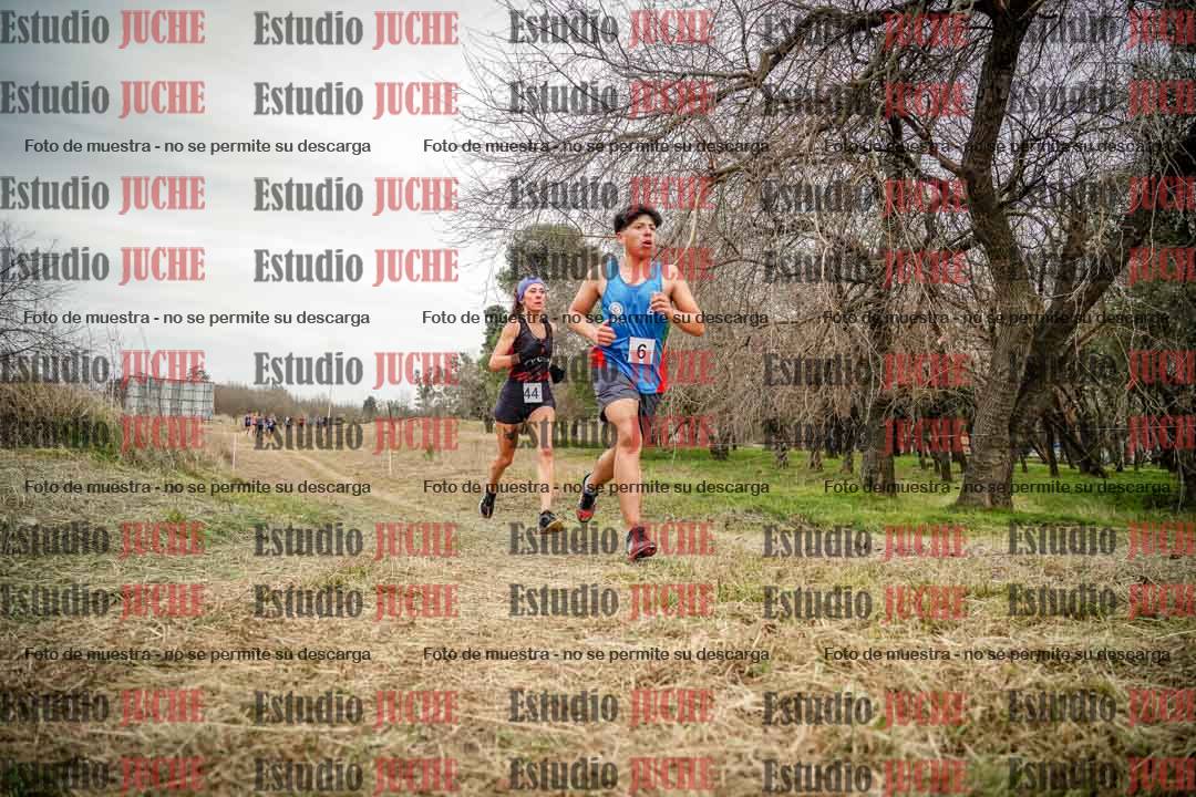 Fotos en el circuito