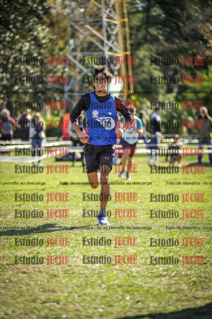 Fotos de la llegada del cross de 8000 m