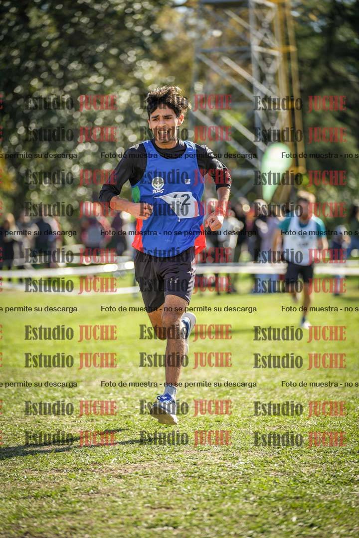 Fotos de la llegada del cross de 8000 m