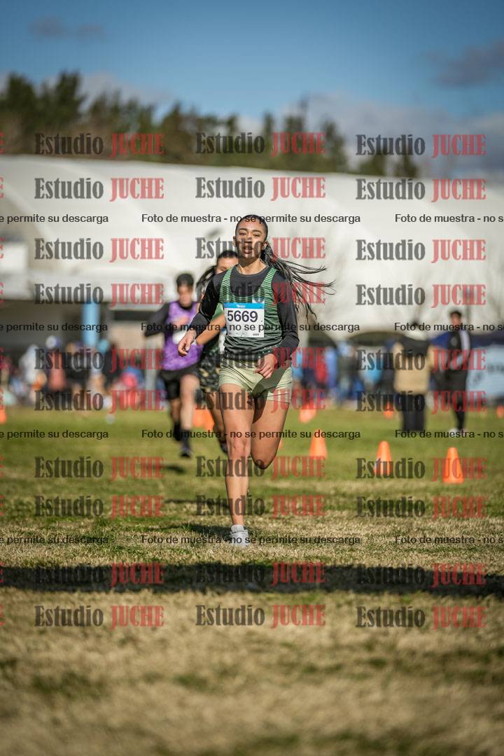 Fotos de las llegadas