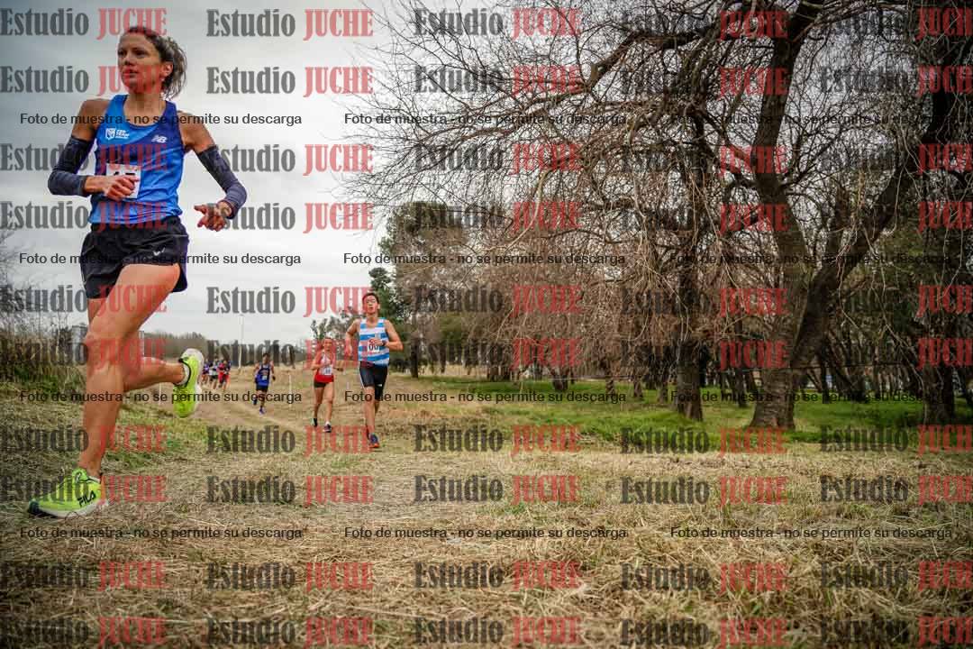 Fotos en el circuito